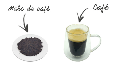 Comment réutiliser son marc de café ?