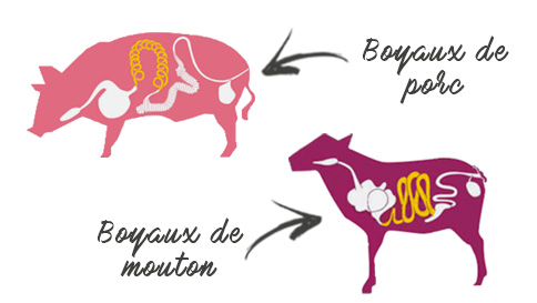 Quels boyaux choisir et comment les utiliser ?