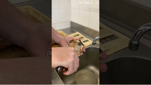 Tuto - Comment &ccedil;a marche un couteau &agrave; coquilles Saint-Jacques ?