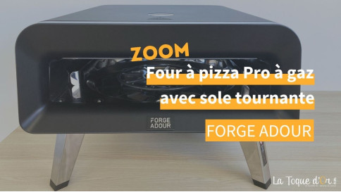 Zoom - Four &agrave; pizza Pro Forge Adour