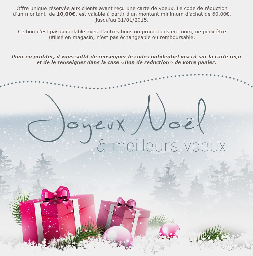 Voeux 2014 clients carte