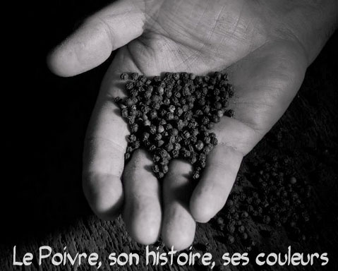 Article sur le poivre et son histoire